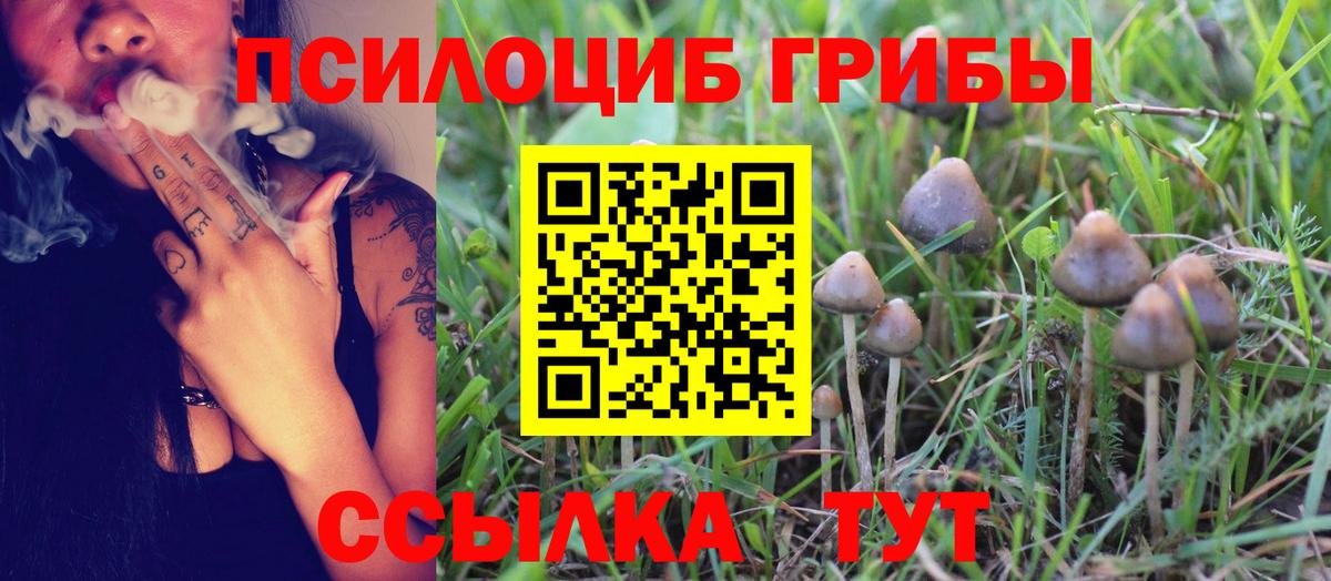 Псилоцибиновые грибы мухоморы Лениногорск